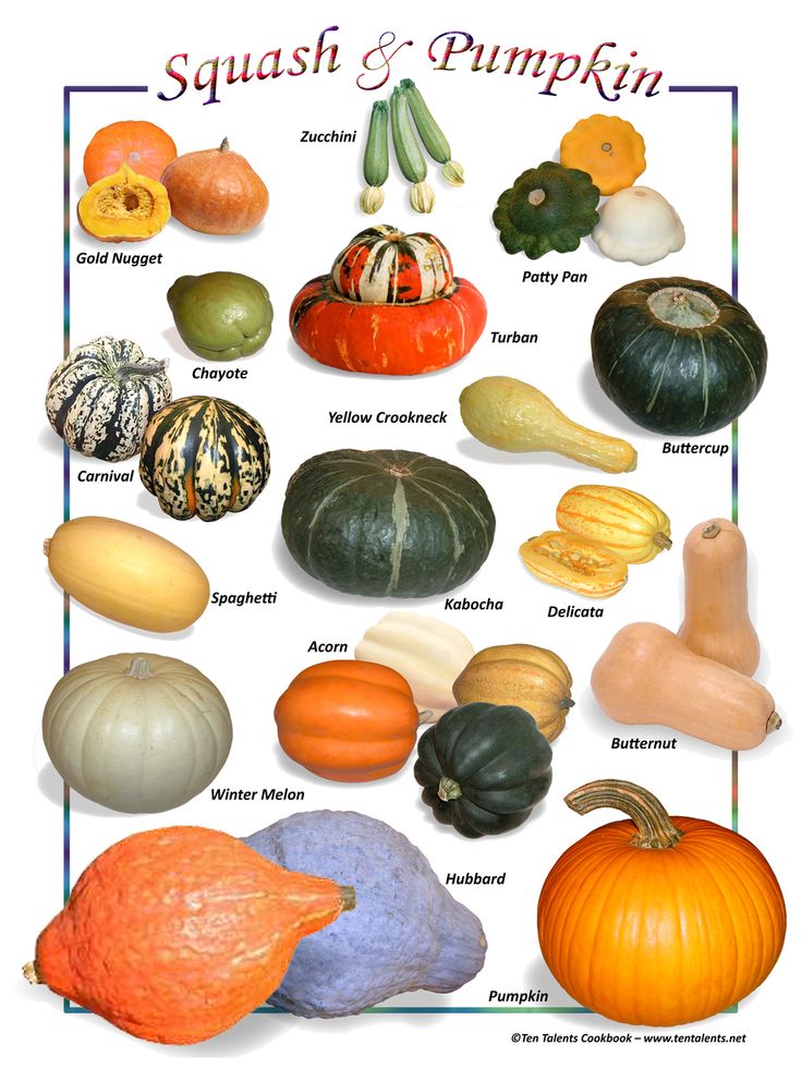 Gourds 